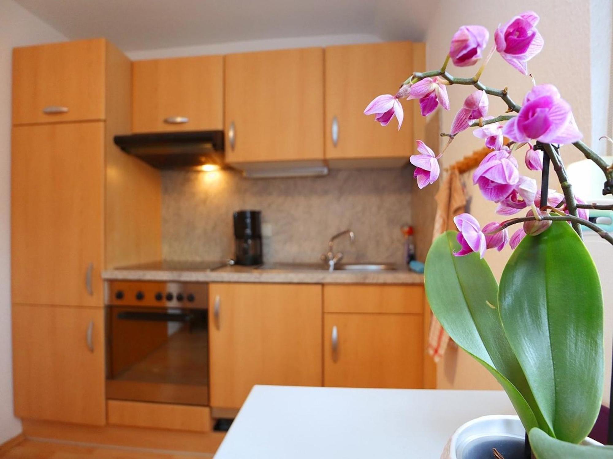 Cozy Apartment In Schwenningen With Garden Villingen-Schwenningen Luaran gambar