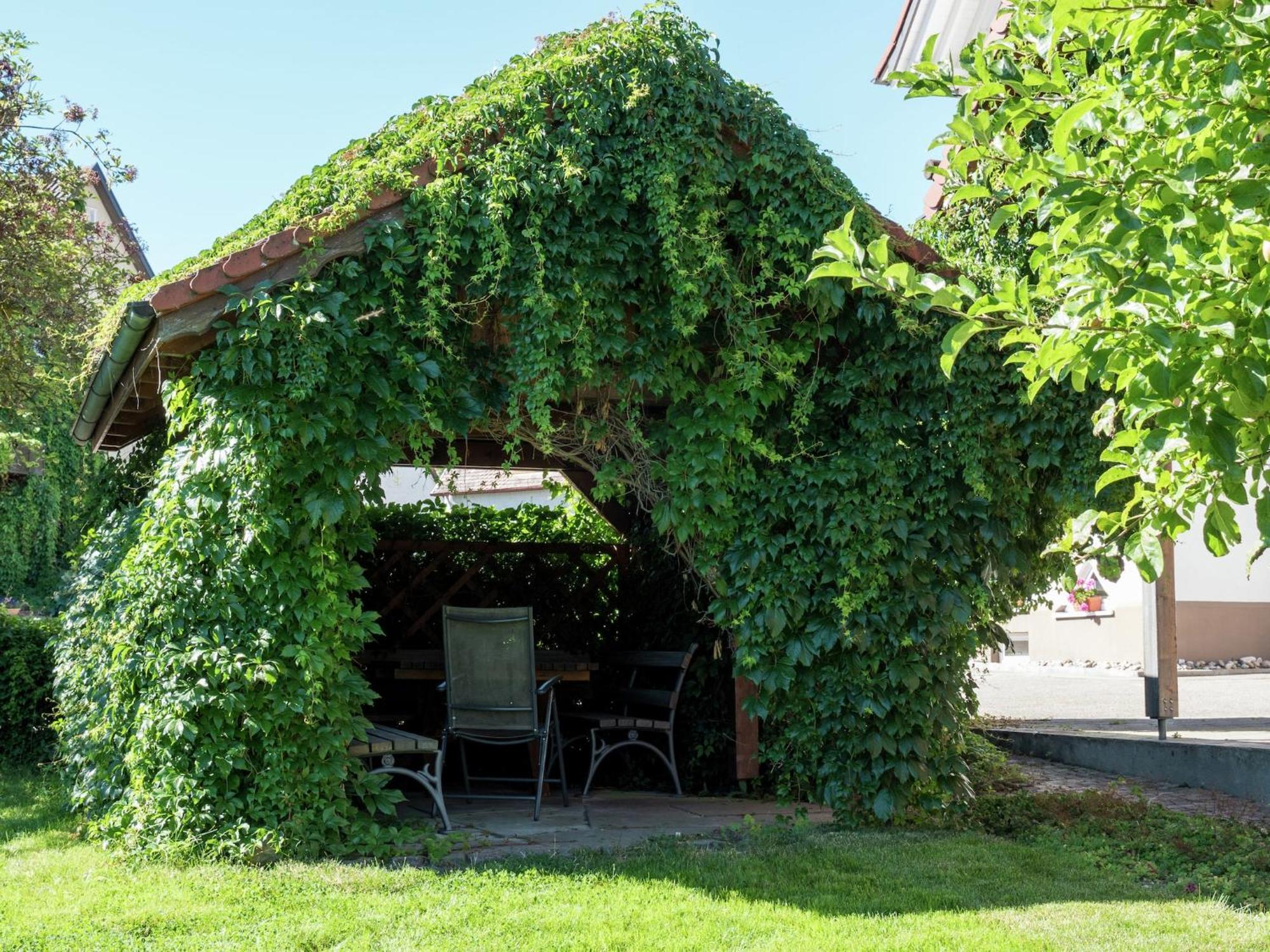 Cozy Apartment In Schwenningen With Garden Villingen-Schwenningen Luaran gambar